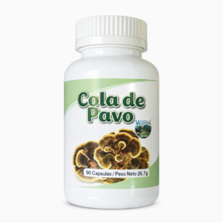 Cola de Pavo – Hongo Medicinal